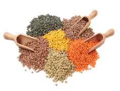Lentil, Protein, Legume, Healthy, Fiber PNG