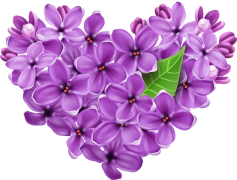 Lilac, Fragrance, Nature, Purple, Bloom PNG