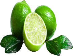 Lime, Citrus, Juice, Fresh, Tangy PNG