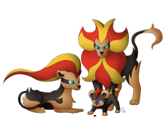 Litleo Pokemon, Fire Type, Lion Cub, Flare, Intrepid PNG