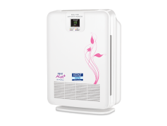 Living Air Purifier, Clean Air, Eco-Friendly, Home Decor, Indoor Plants PNG