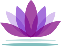 Lotus Transparent Background