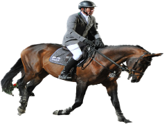 Ludger Beerbaum, Equine Sports, German Athlete, Equestrian Champion, Horse Rider PNG