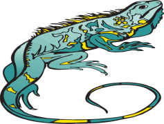 Madagascar Iguanids, Biodiversity Hotspot, Tropical Ecosystem, Diverse Habitats, Conservation Status PNG