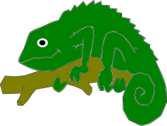 Madagascar Iguanids, Ecological Importance, Endemic Species, Unique Habitat, Colorful Lizards PNG