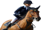 Malin Baryard-Johnsson, Showjumping, Equestrian, Rider, Athlete PNG