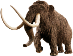 Mammoth, Extinct, Giant, Prehistoric, Ice Age PNG