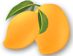 Mango Transparent PNG