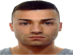 Marco Lodadio, Competition, Gymnast, Excellence, Performer PNG