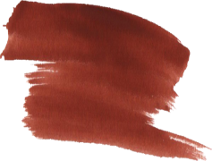 Marron, Brown, Nature, Chestnut, Shade PNG