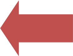 Marron, Nut, Color, Chestnut, Autumn PNG