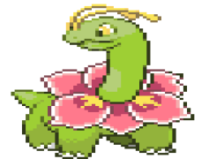 Meganium Pokemon, Johto Region, Healing, Grass Type, Gentle PNG