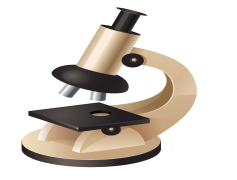 Microscope, Science, Magnification, Biology, Analysis PNG