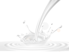 Milk Splash, Creative Splash, Splash Effect, Creamy Cascade, Liquid Art PNG