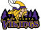 Minnesota Vikings, Minnesota Football, Viking Pride, Purple Squad, Minneapolis Sports PNG