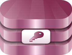 MS Access, Reports, Software, Management, Queries PNG