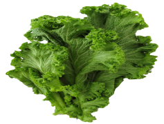 Mustard Greens, Bitter Flavor, Healthy Eating, Leafy Vegetables, Stir-Fried PNG
