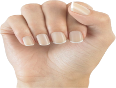Nail, Care, Style, Decor, Polish PNG