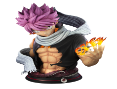 Natsu, Magic, Adventure, Dragon, Fire PNG