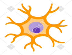 Neuron, Communication, Signal, Synapse, Activity PNG