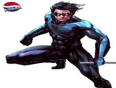 Nightwing PNG Photo