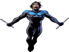 Nightwing PNG Pic