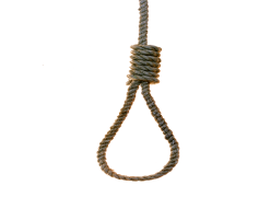 Noose, Knot, Rope, Capture, Binding PNG