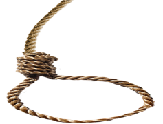 Noose, Restraint, Bind, Loop, Knot PNG