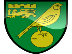 Norwich City F C, Championship, Canaries, Yellow Green, East Anglia PNG