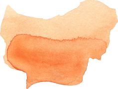 Orange Aesthetic Theme, Citrus Inspiration, Artistic Palette, Warm Tones, Vibrant Hues PNG