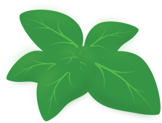 Oregano, Mediterranean, Flavor, Aromatic, Herb PNG