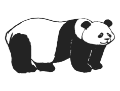 Panda Bear, Black And White, Bamboo, Cute, Endangered PNG