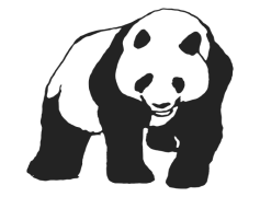 Panda Bear, Mammal, Endangered, Conservation, Bamboo PNG