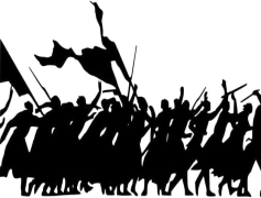 Parade, Community, Tradition, Festivity, Display PNG