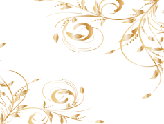 Pattern Border, Visual Divider, Decorative Edge, Ornamental Border, Frame Style PNG