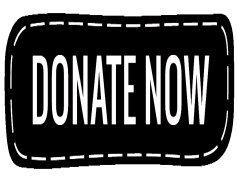 PayPal Donate Button, Contributions, Help, Charity, Nonprofit PNG