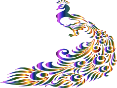 Peacock Logo, Colorful Emblem, Vibrant Symbol, Unique Identity, Artistic Representation PNG