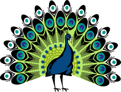 Peacock Logo, Exotic Bird, Nature Inspired, Vibrant Symbol, Elegant Motif PNG