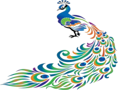 Peacock Logo, Vibrant Icon, Elegant Symbol, Feathered Representation, Stylish Branding PNG