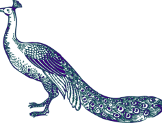 Peacock Logo, Vibrant Representation, Colorful Emblem, Stylish Motif, Elegant Symbol PNG