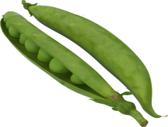 Peas, Fresh, Vegetable, Legume, Nutrient PNG