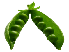 Peas, Nutrient, Organic, Legumes, Fresh PNG