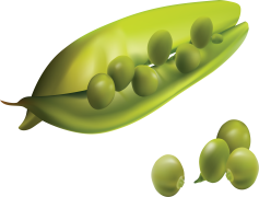 Peas, Organic, Nutrient, Vegetable, Healthy PNG