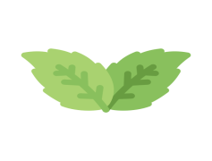 Peppermint, Herb, Aromatic, Green, Fresh PNG