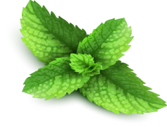 Peppermint, Natural, Cooling, Flavorful, Minty PNG