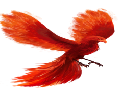 Phoenix, Legend, Transformation, Resurrection, Firebird PNG