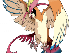 Pidgeotto Pokemon, Soaring Wings, Agile Hunter, Flying Type, Gust Attack PNG
