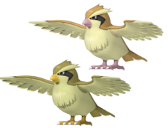 Pidgey Pokemon, Normal Type, Kanto Region, Gust Attack, Flying Type PNG