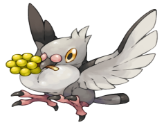 Pidove Pokemon, Normal Type, Avian Species, Gentle Nature, Evolved Form PNG