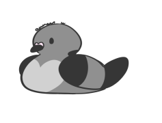 Pidove Pokemon, Regional Variant, Normal Type, Evolved Form, Generation V PNG